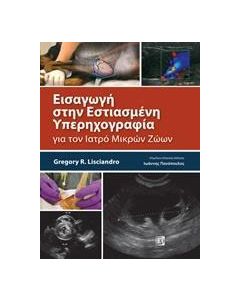 Εισαγωγή στην εστιασμένη υπερηχογραφία