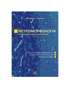 Νευρομορφολογία, Η λεπτή υφή του νευρικού ιστού