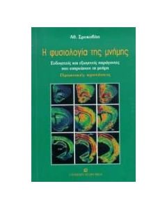 Η φυσιολογία της μνήμης