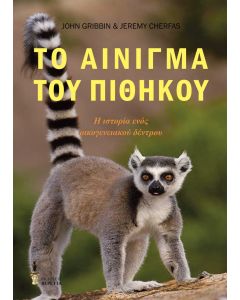 Το αίνιγμα του πιθήκου