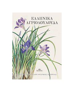 Ελληνικά αγριολούλουδα