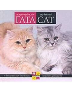 Η αγαπημένη μου γάτα