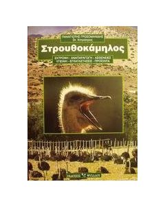 Στρουθοκάμηλος