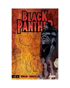 Black Panther: Ποιος είναι ο Μαύρος Πάνθηρας;