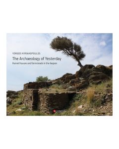 The archaeology of yesterday