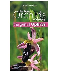 The Bee Orchids of Greece