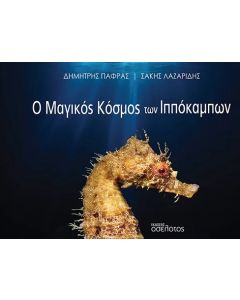 Ο μαγικός κόσμος των ιππόκαμπων