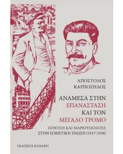 ΑΝΑΜΕΣΑ ΣΤΗΝ ΕΠΑΝΑΣΤΑΣΗ ΚΑΙ ΤΟΝ ΜΕΓΑΛΟ ΤΡΟΜΟ ΠΟΝΤΙΟΙ ΚΑΙ ΜΑΡΙΟΥΠΟΛΙΤΕΣ ΣΤΗΝ ΣΟΒΙΕΤΙΚΗ ΕΝΩΣΗ (1917-1938)