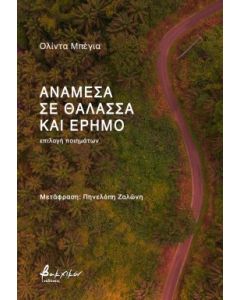 Ανάμεσα σε θάλασσα και έρημο