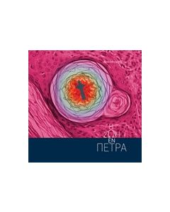 Η ζωή εν πέτρα