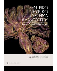 Κεντρικό νευρικό σύστημα του ανθρώπου