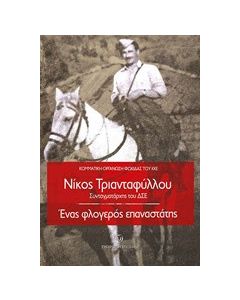 Νίκος Τριανταφύλλου, Συνταγματάρχης του ΔΣΕ