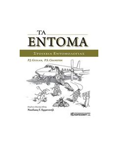 Τα έντομα