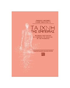 Τα ίχνη της εμπειρίας