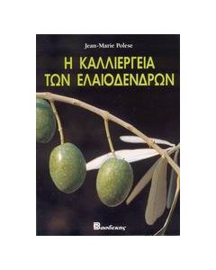Η καλλιέργεια των ελαιοδένδρων