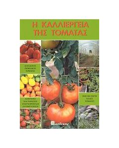 Η καλλιέργεια της τομάτας