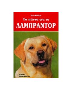 Τα πάντα για το Λαμπραντόρ