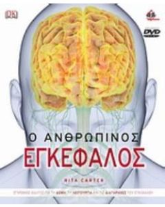 Ο ανθρώπινος εγκέφαλος