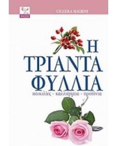 Η τριανταφυλλιά