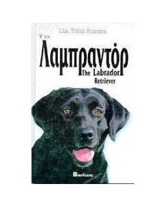Το Λαμπραντόρ ανιχνευτής
