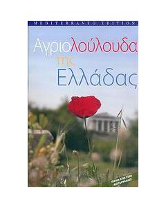 Αγριολούλουδα της Ελλάδας