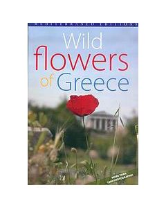 Wild Flowers of Greece
