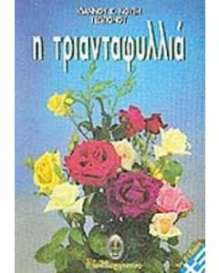 Η τριανταφυλλιά