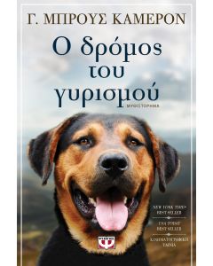 Ο δρόμος του γυρισμού