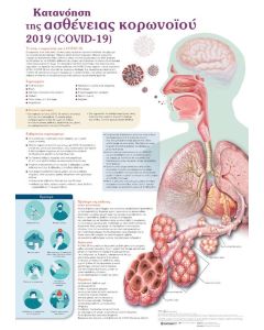 Κατανόηση της ασθένειας κορωνοïού 2019 (covid-19): Ανατομικός χάρτης